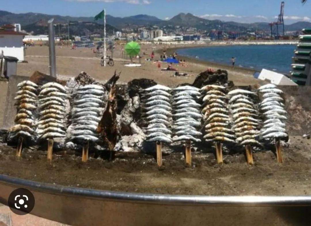 توريمولينوس La Colina Playamar Beach 0*,